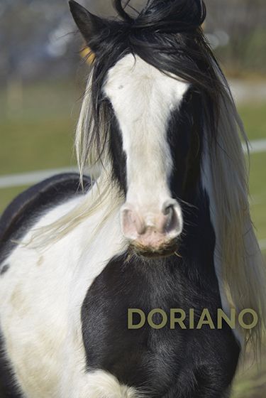 Doriano